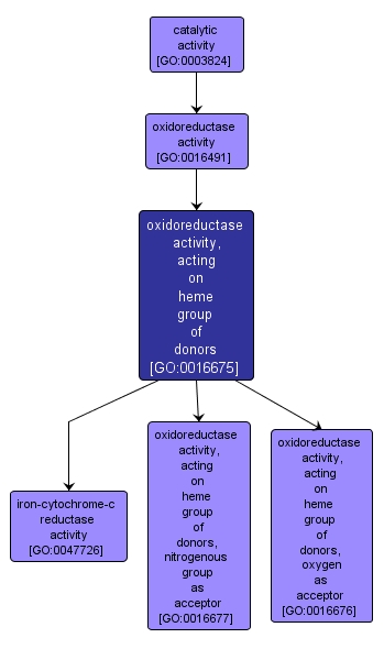 GO:0016675 - oxidoreductase activity, acting on heme group of donors (interactive image map)