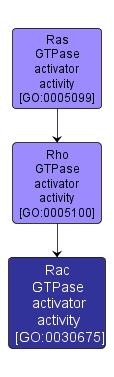 GO:0030675 - Rac GTPase activator activity (interactive image map)