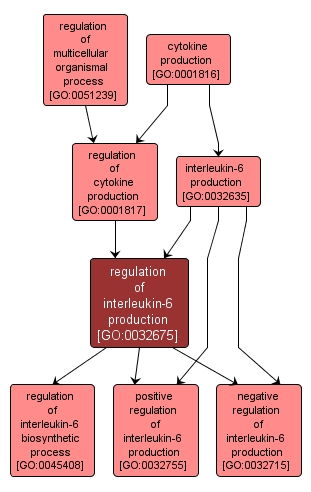 GO:0032675 - regulation of interleukin-6 production (interactive image map)