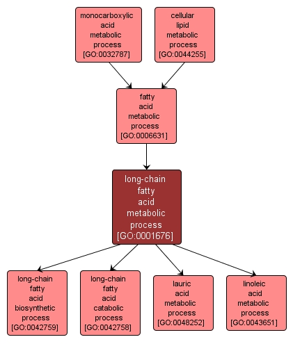 GO:0001676 - long-chain fatty acid metabolic process (interactive image map)