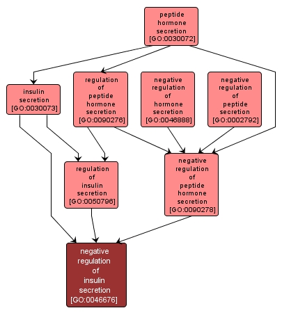 GO:0046676 - negative regulation of insulin secretion (interactive image map)