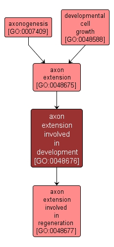 GO:0048676 - axon extension involved in development (interactive image map)