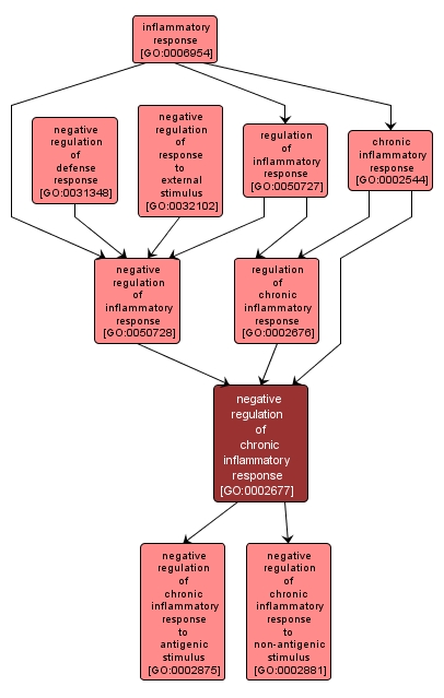 GO:0002677 - negative regulation of chronic inflammatory response (interactive image map)
