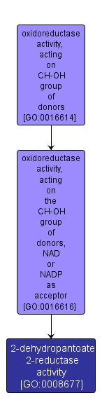 GO:0008677 - 2-dehydropantoate 2-reductase activity (interactive image map)