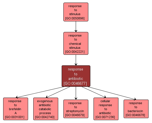 GO:0046677 - response to antibiotic (interactive image map)