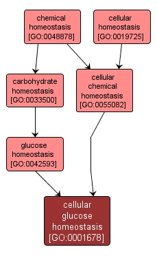 GO:0001678 - cellular glucose homeostasis (interactive image map)