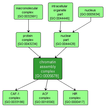 GO:0005678 - chromatin assembly complex (interactive image map)