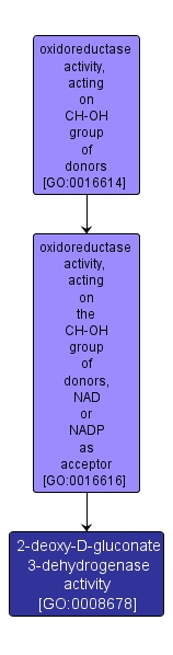 GO:0008678 - 2-deoxy-D-gluconate 3-dehydrogenase activity (interactive image map)