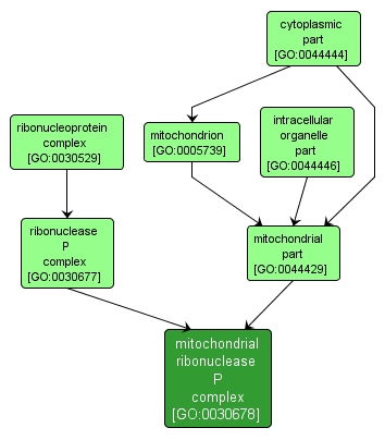 GO:0030678 - mitochondrial ribonuclease P complex (interactive image map)