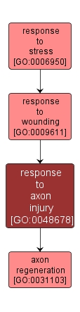 GO:0048678 - response to axon injury (interactive image map)