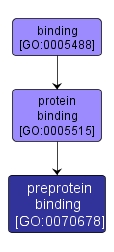 GO:0070678 - preprotein binding (interactive image map)