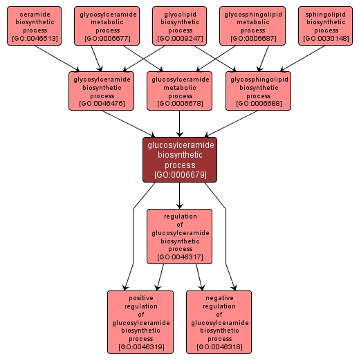 GO:0006679 - glucosylceramide biosynthetic process (interactive image map)