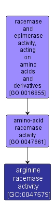 GO:0047679 - arginine racemase activity (interactive image map)