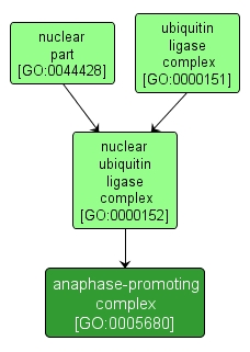 GO:0005680 - anaphase-promoting complex (interactive image map)