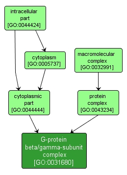 GO:0031680 - G-protein beta/gamma-subunit complex (interactive image map)