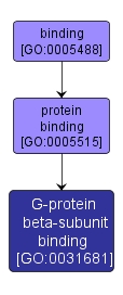 GO:0031681 - G-protein beta-subunit binding (interactive image map)