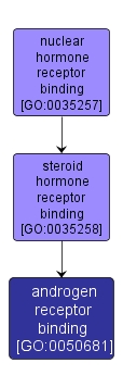 GO:0050681 - androgen receptor binding (interactive image map)