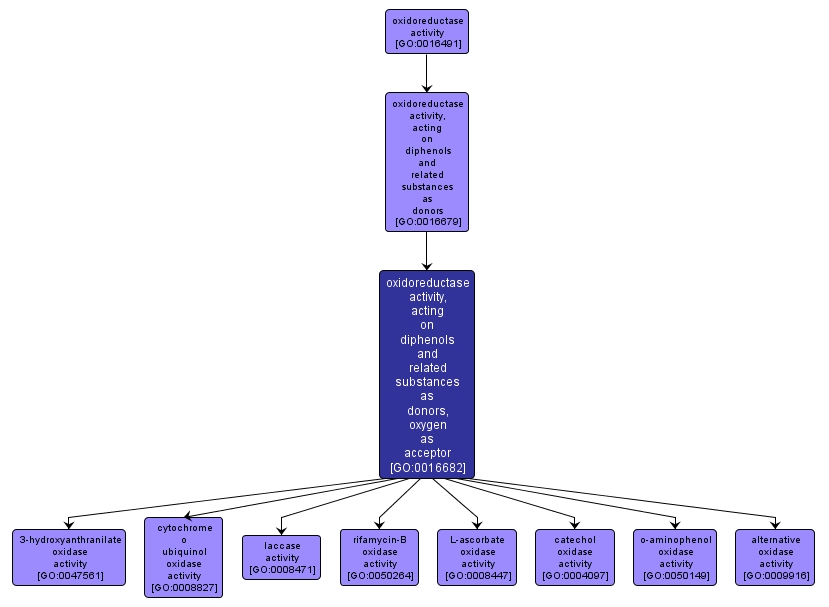 GO:0016682 - oxidoreductase activity, acting on diphenols and related substances as donors, oxygen as acceptor (interactive image map)