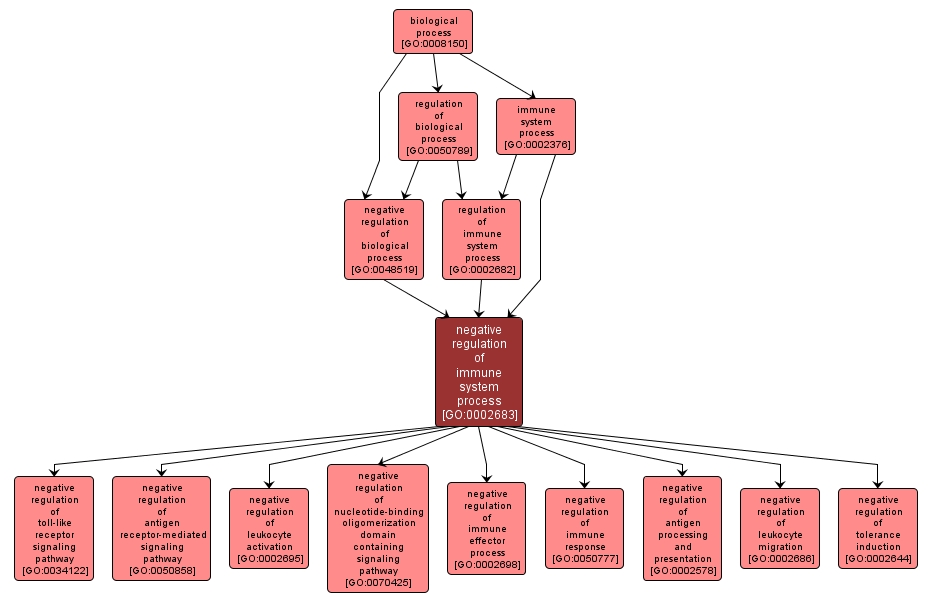 GO:0002683 - negative regulation of immune system process (interactive image map)