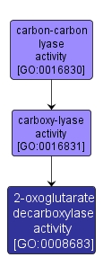 GO:0008683 - 2-oxoglutarate decarboxylase activity (interactive image map)