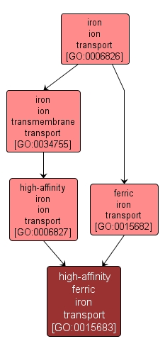GO:0015683 - high-affinity ferric iron transport (interactive image map)