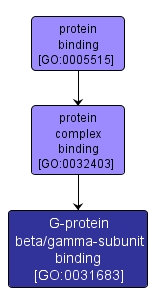 GO:0031683 - G-protein beta/gamma-subunit binding (interactive image map)