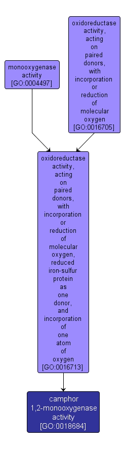 GO:0018684 - camphor 1,2-monooxygenase activity (interactive image map)