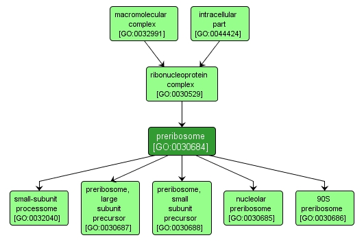 GO:0030684 - preribosome (interactive image map)