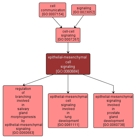 GO:0060684 - epithelial-mesenchymal cell signaling (interactive image map)