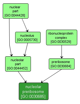 GO:0030685 - nucleolar preribosome (interactive image map)