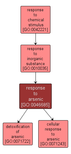 GO:0046685 - response to arsenic (interactive image map)