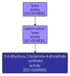 GO:0008686 - 3,4-dihydroxy-2-butanone-4-phosphate synthase activity (interactive image map)