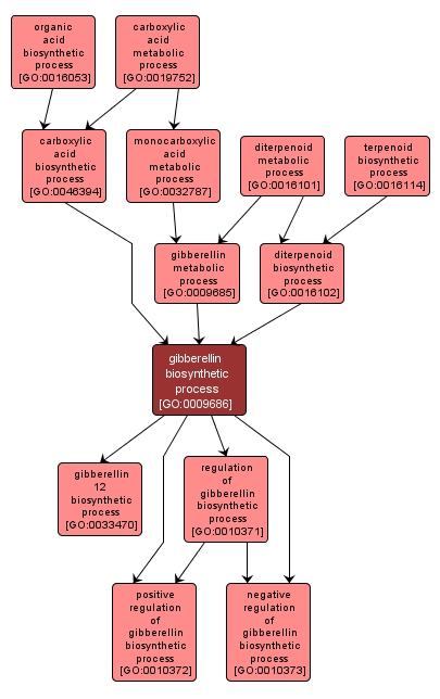 GO:0009686 - gibberellin biosynthetic process (interactive image map)