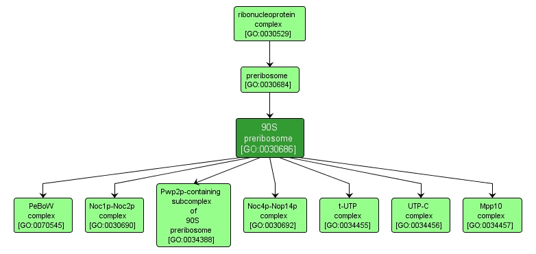 GO:0030686 - 90S preribosome (interactive image map)