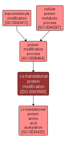 GO:0043686 - co-translational protein modification (interactive image map)