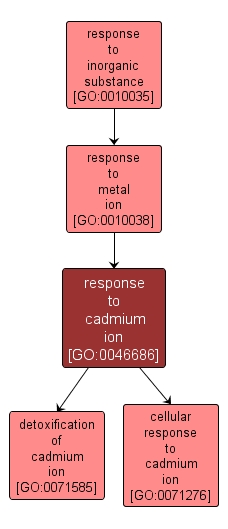 GO:0046686 - response to cadmium ion (interactive image map)