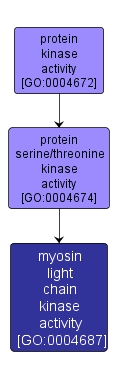 GO:0004687 - myosin light chain kinase activity (interactive image map)