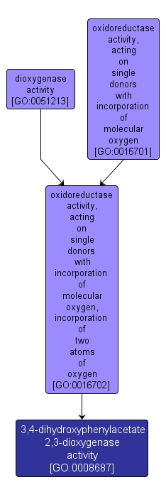 GO:0008687 - 3,4-dihydroxyphenylacetate 2,3-dioxygenase activity (interactive image map)