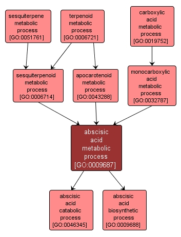 GO:0009687 - abscisic acid metabolic process (interactive image map)