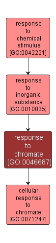 GO:0046687 - response to chromate (interactive image map)