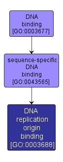 GO:0003688 - DNA replication origin binding (interactive image map)