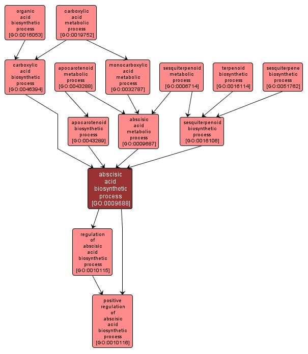 GO:0009688 - abscisic acid biosynthetic process (interactive image map)