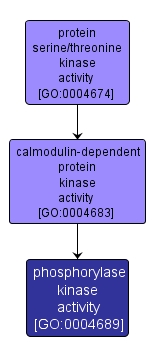GO:0004689 - phosphorylase kinase activity (interactive image map)