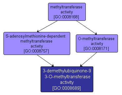 GO:0008689 - 3-demethylubiquinone-9 3-O-methyltransferase activity (interactive image map)