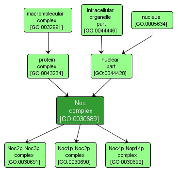 GO:0030689 - Noc complex (interactive image map)