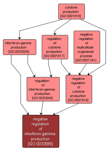 GO:0032689 - negative regulation of interferon-gamma production (interactive image map)