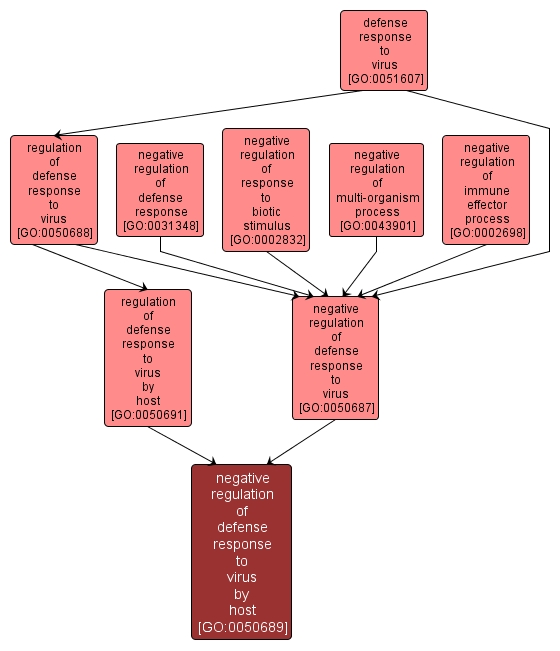 GO:0050689 - negative regulation of defense response to virus by host (interactive image map)