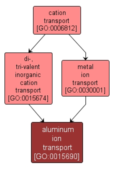 GO:0015690 - aluminum ion transport (interactive image map)
