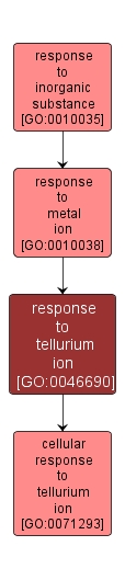 GO:0046690 - response to tellurium ion (interactive image map)