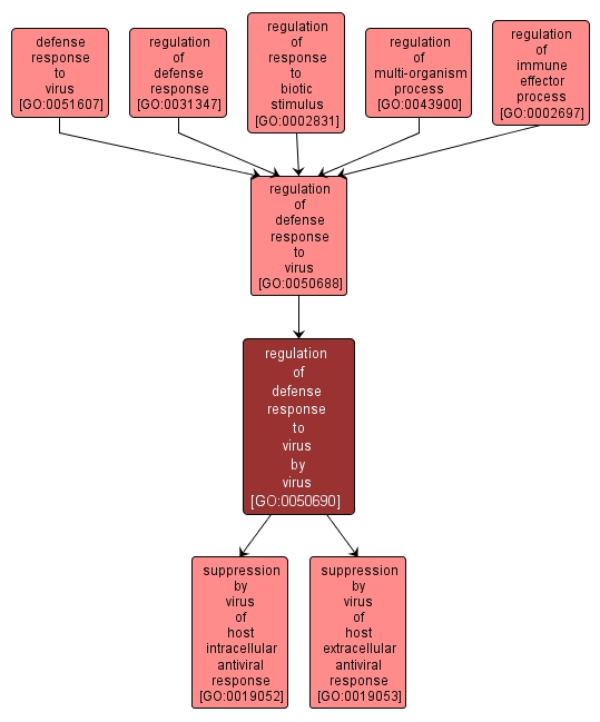 GO:0050690 - regulation of defense response to virus by virus (interactive image map)